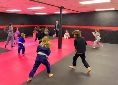 Osprey Martial Arts BJJ Academy - photo 1