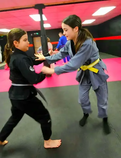 Osprey Martial Arts BJJ Academy - photo 4