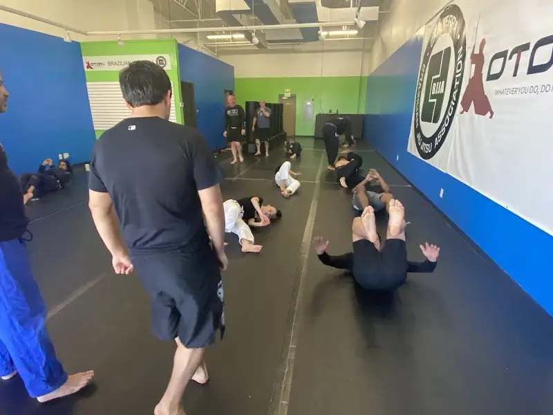 Otomi Martial Arts BJJ Academy - photo 1