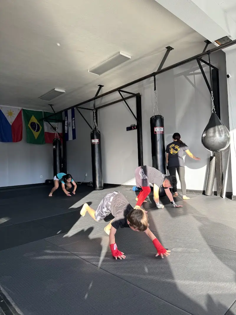 Outlaw Jiu-Jitsu