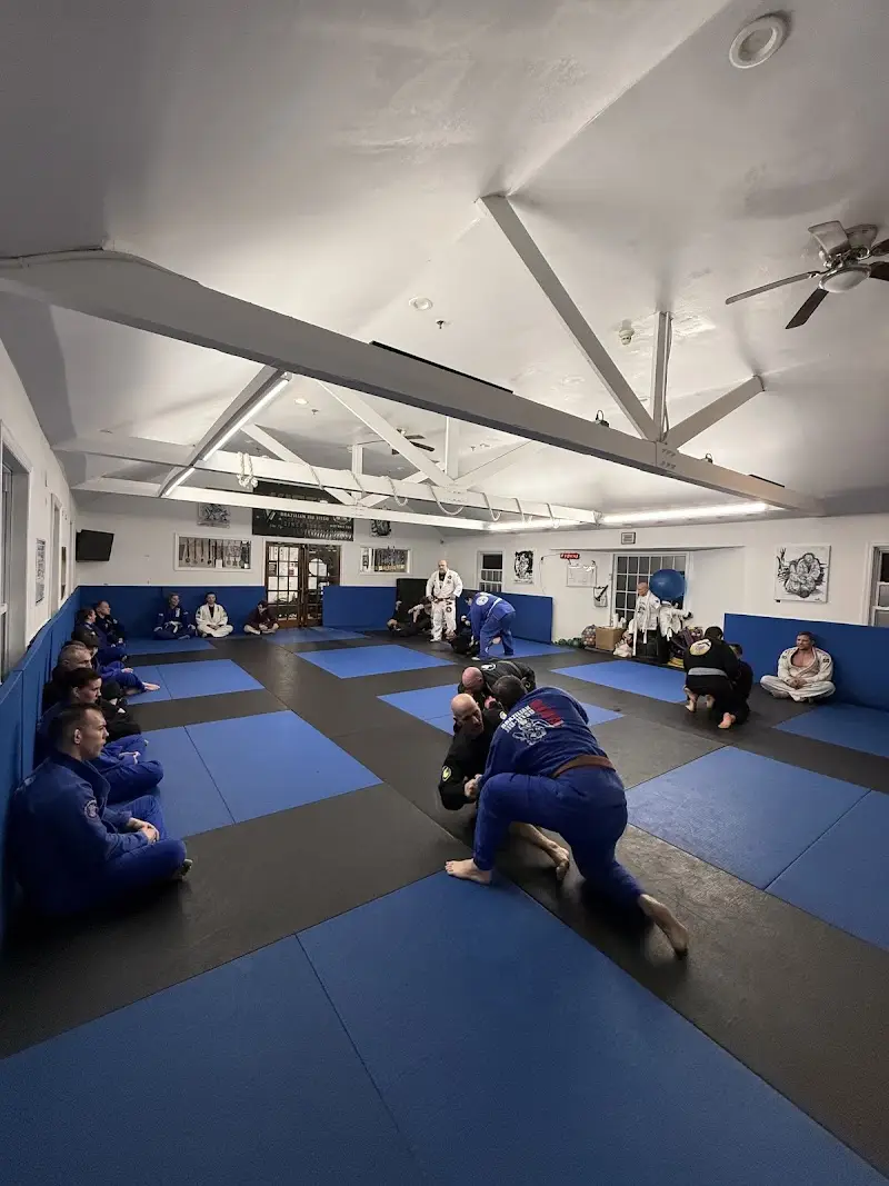 Over/Under Brazilian Jiu Jitsu BJJ Academy - photo 1