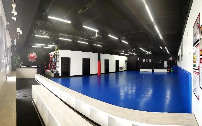 P3 Martial Arts BJJ Academy - photo 1