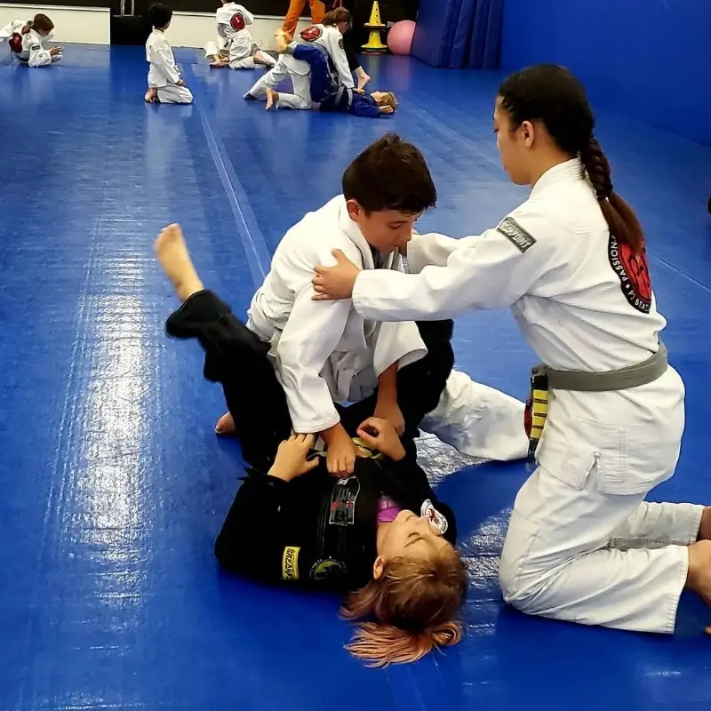 P3 Martial Arts BJJ Academy - photo 2