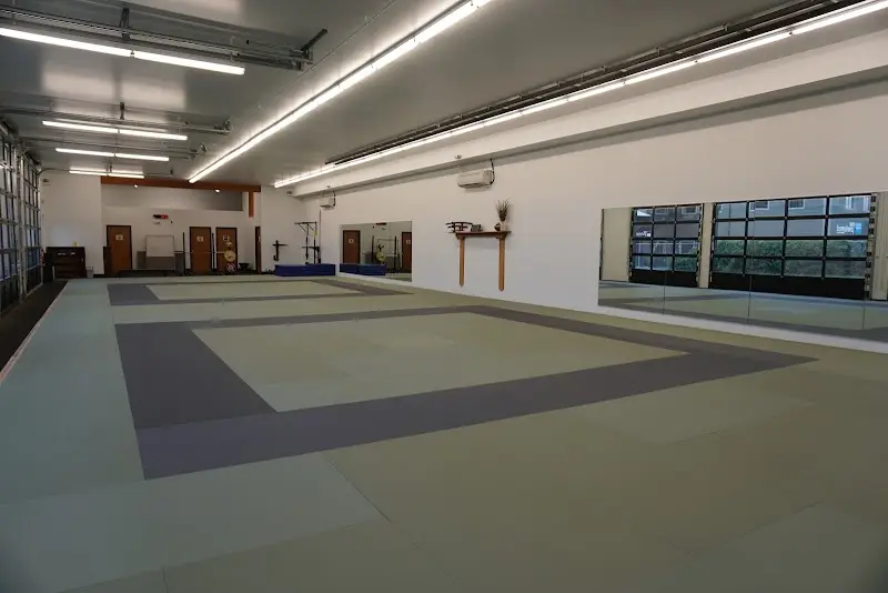 Pacific Rim Martial Arts Academy BJJ Academy - photo 1
