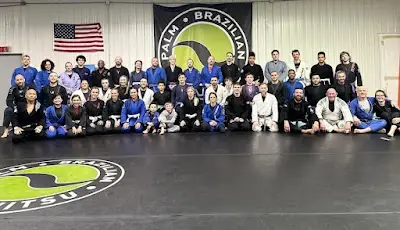 Palm BJJ Brazilian Jiu-Jitsu BJJ Academy - photo 1