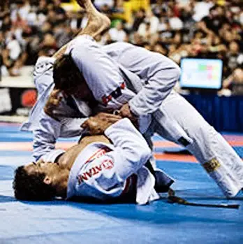Palm BJJ Brazilian Jiu-Jitsu BJJ Academy - photo 4