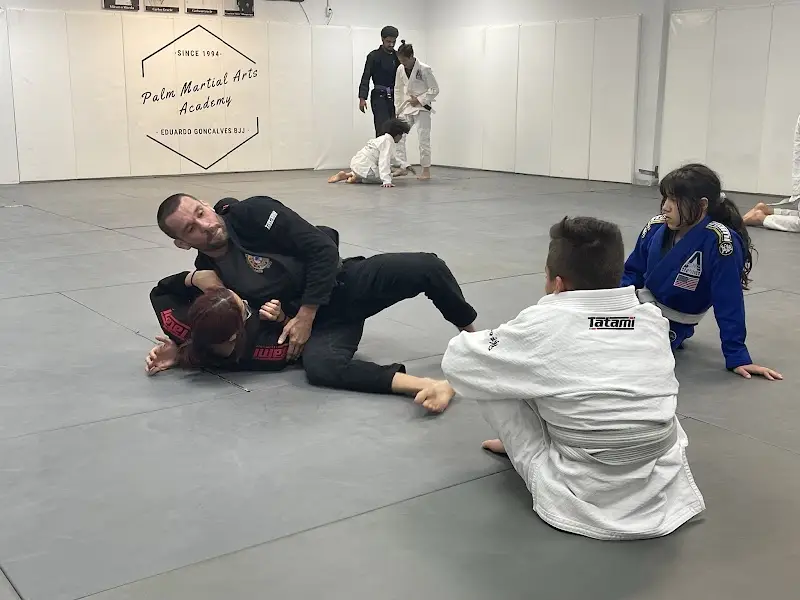 Palm Martial Arts Academy BJJ Academy - photo 1