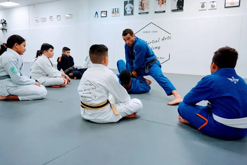 Palm Martial Arts Academy BJJ Academy - photo 2
