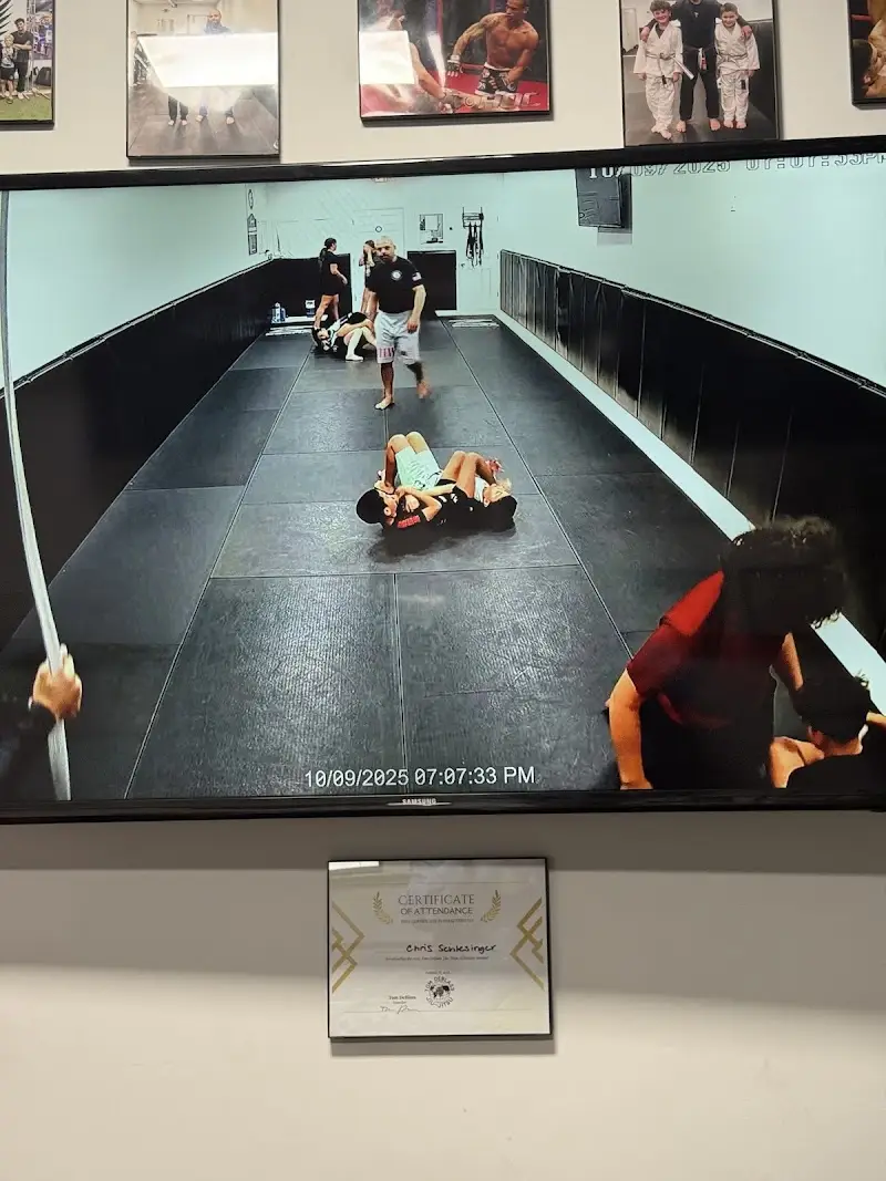 Panda Brazilian Jiu-Jitsu BJJ Academy - photo 2