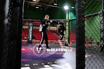 Panda Mixed Martial Arts Academy BJJ Academy - photo 2
