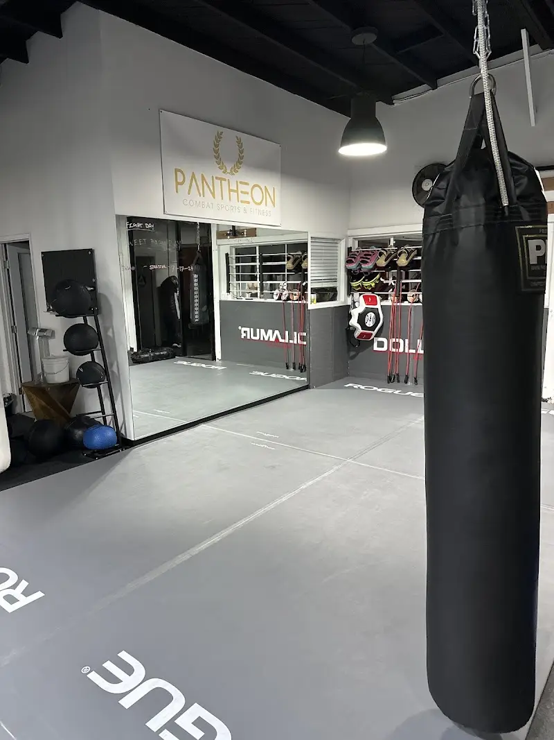 Pantheon Combat Sports & Fitness BJJ Academy - photo 2
