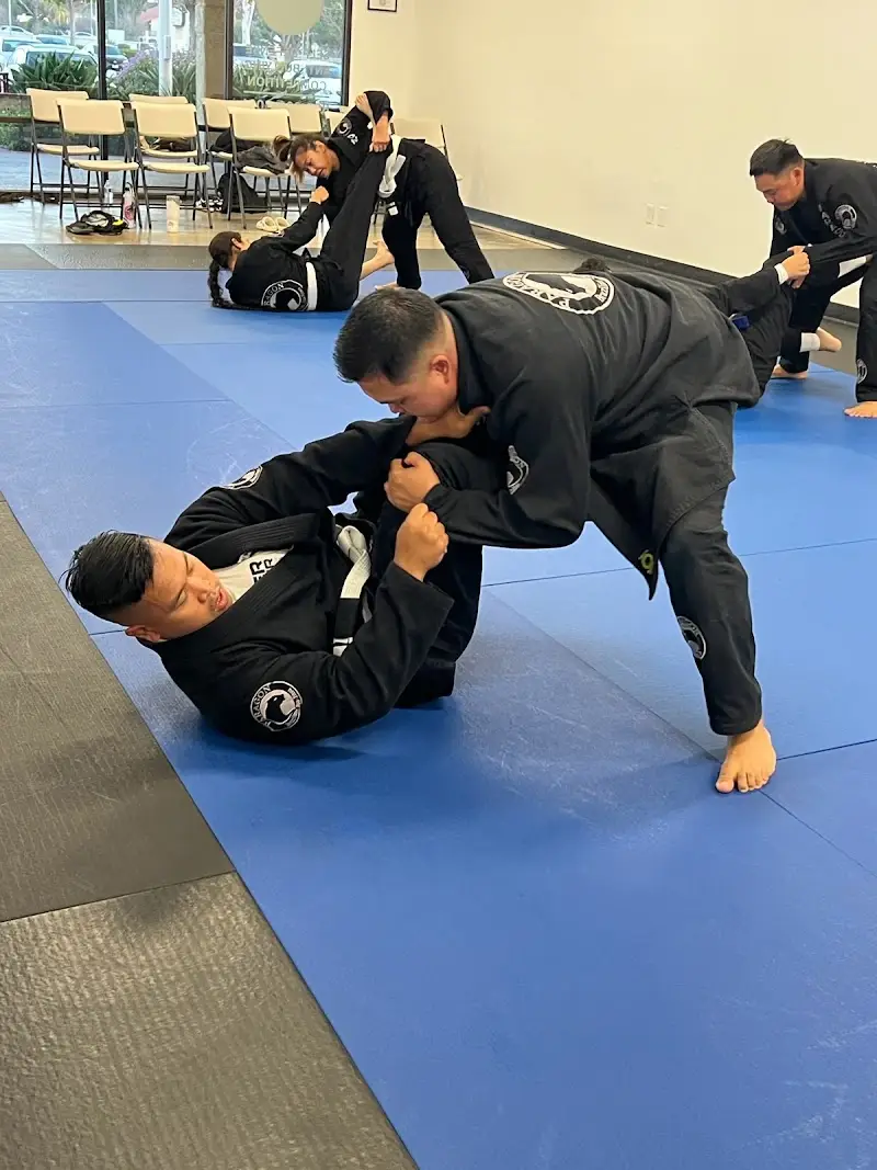 Paragon Brazilian Jiu Jitsu of Camarillo BJJ Academy - photo 2