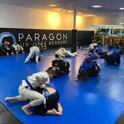 Paragon Jiu-Jitsu Academy - Austin