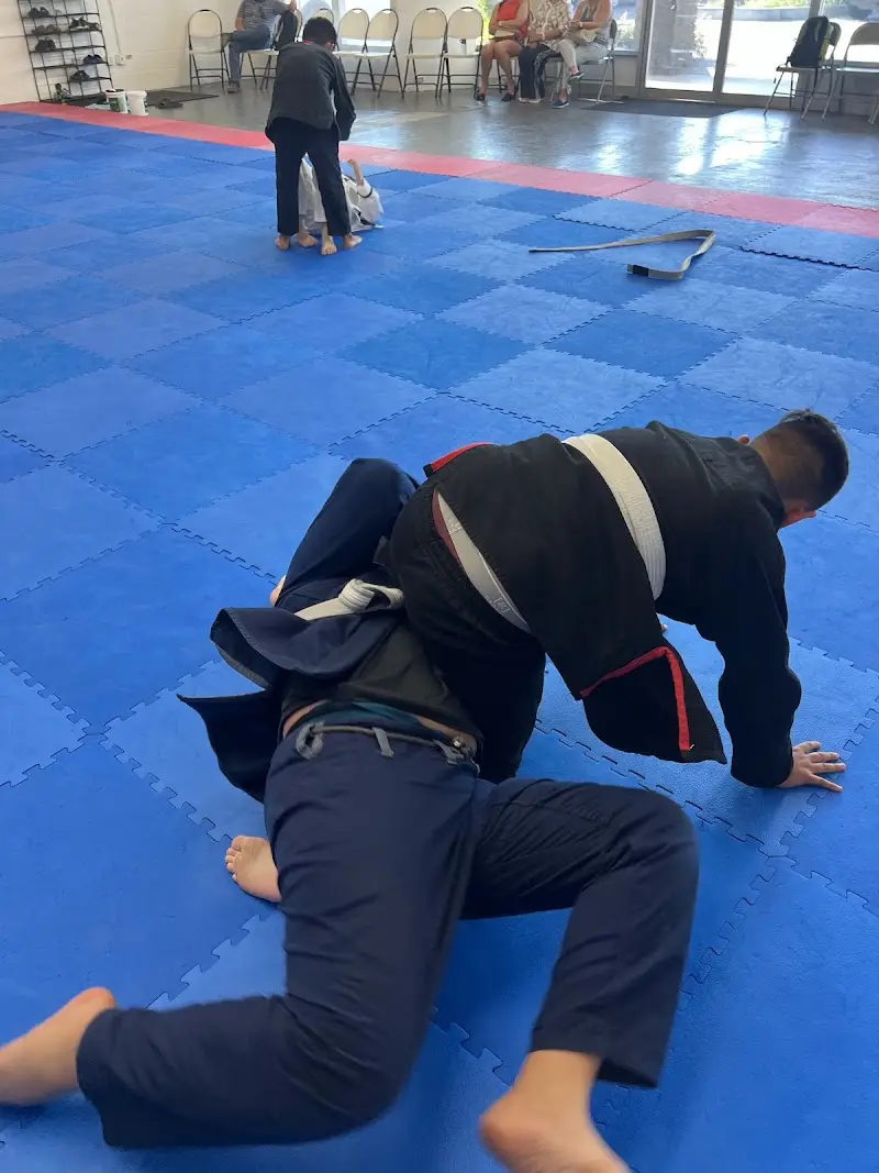 Paraiso Jiu JItsu BJJ Academy - photo 2