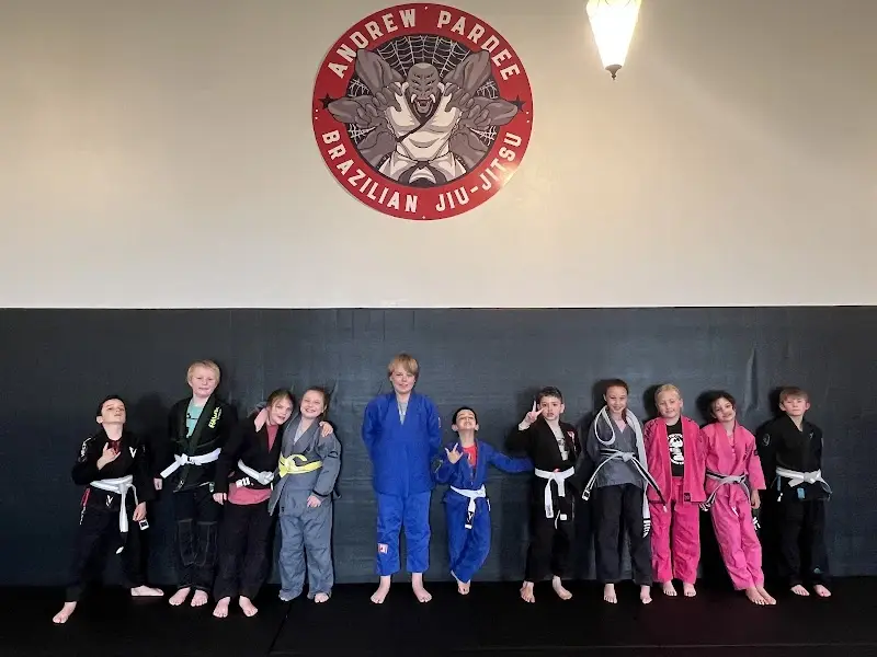 Pardee Brazilian Jiu-Jitsu Follansbee BJJ Academy - photo 1