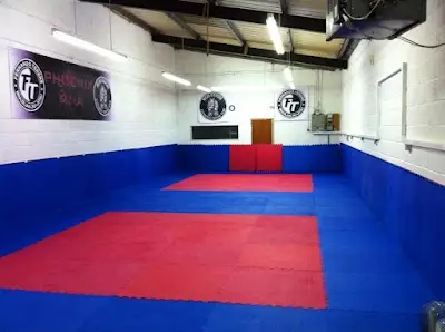 Parity Martial Arts & Wellness BJJ Academy - photo 2