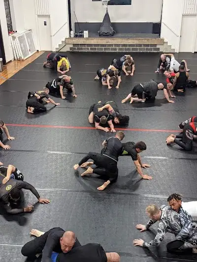Patriot Combat Sports BJJ Academy - photo 1