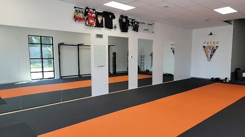 Payak Authentic Muay Thai & Brazilian Jiu- Jitsu BJJ Academy - photo 2