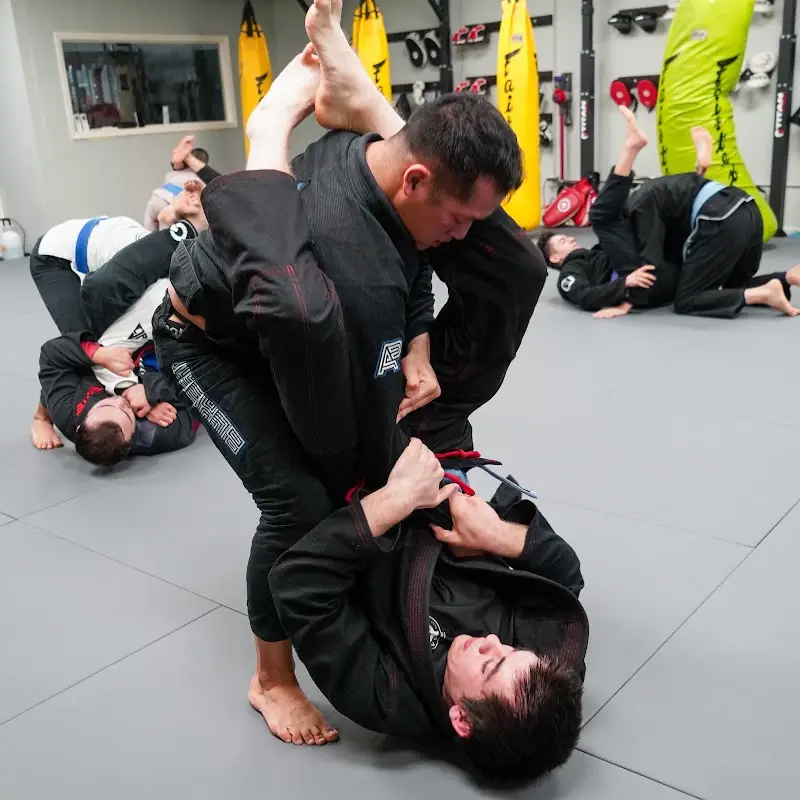 Peak Performance Fitness Muay Thai Brazilian Jiu Jitsu BJJ Academy - photo 1