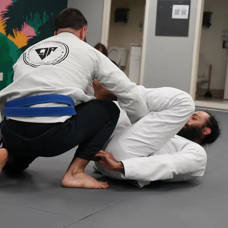 Peak Performance Fitness Muay Thai Brazilian Jiu Jitsu BJJ Academy - photo 2