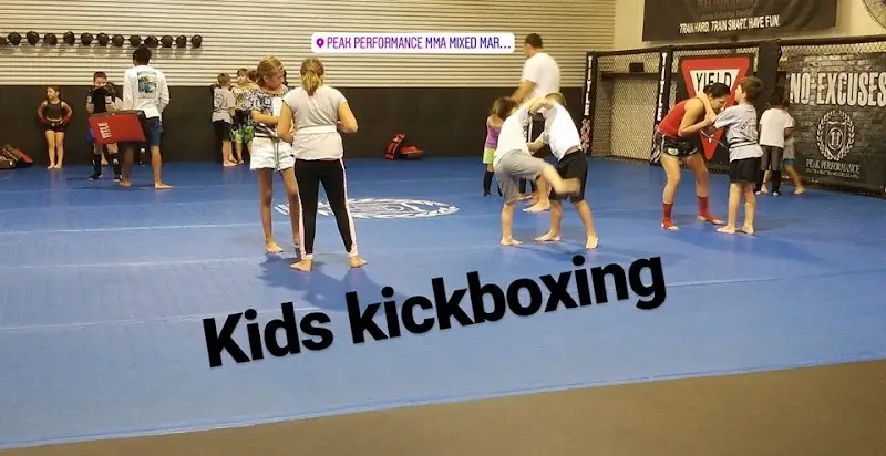 Peak Performance MMA & BJJ BJJ Academy - photo 2