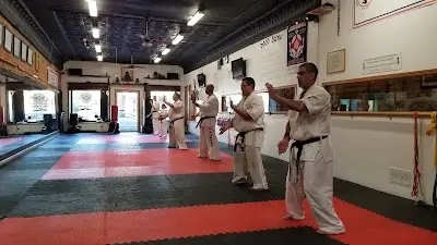 Performance Fitness & Kyokushin Karate BJJ Academy - photo 2