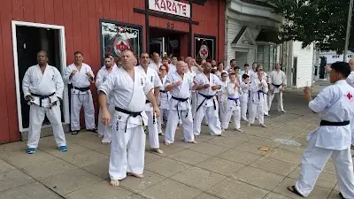 Performance Fitness & Kyokushin Karate BJJ Academy - photo 4