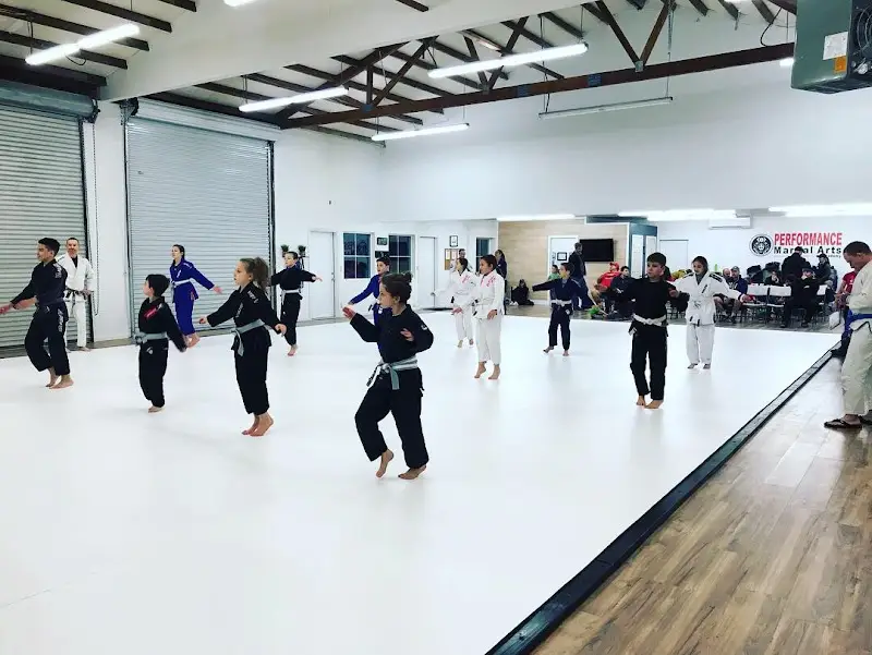 Performance Martial Arts Academy BJJ Academy - photo 2