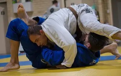Perth Martial Arts Centre BJJ Academy - photo 2