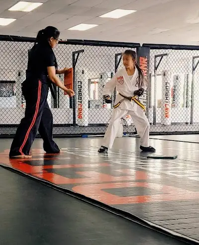 Pettis Martial Arts BJJ Academy - photo 1