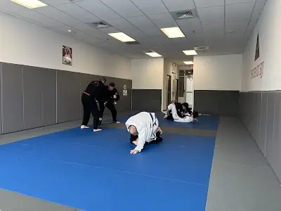 Phoenix BJJ Brazilian Jiu Jitsu Martial Arts School BJJ Academy - photo 1