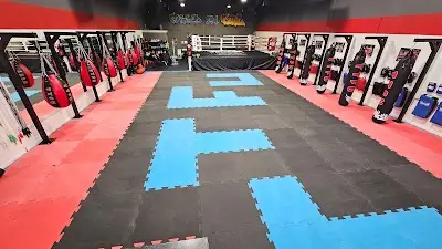 Phoenix Muay Thai & Kickboxing BJJ Academy - photo 4