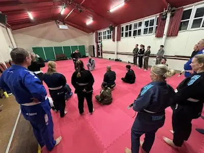 Phoenix School of Martial Arts - Sarisbury Green (Freestyle TaeKwonDo & Brazilian Jiu Jitsu)