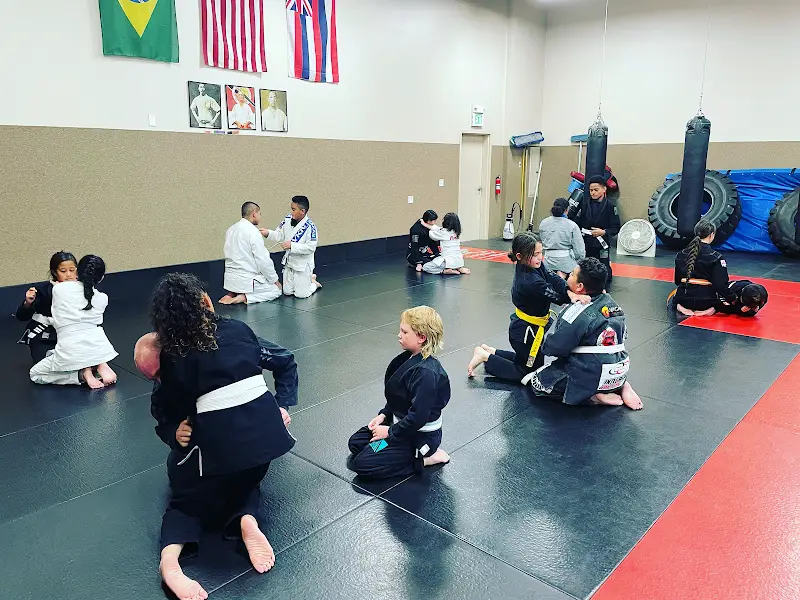Physical Concepts Training Center BJJ Academy - photo 1