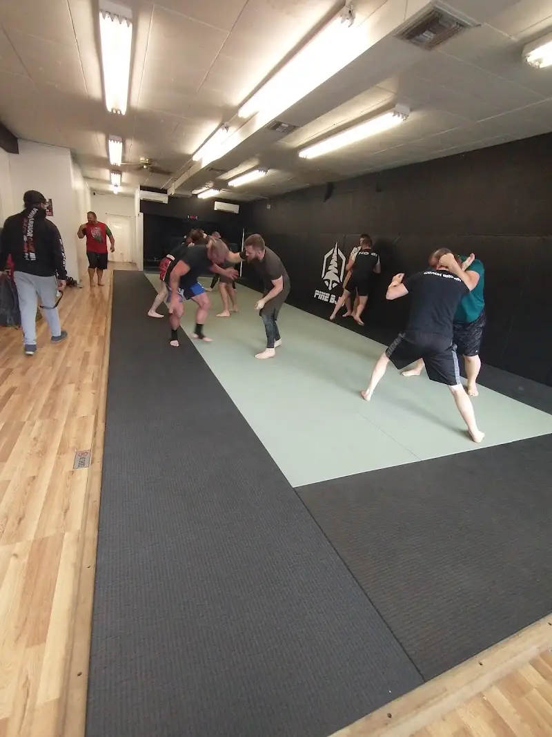 Pine BJJ BJJ Academy - photo 1