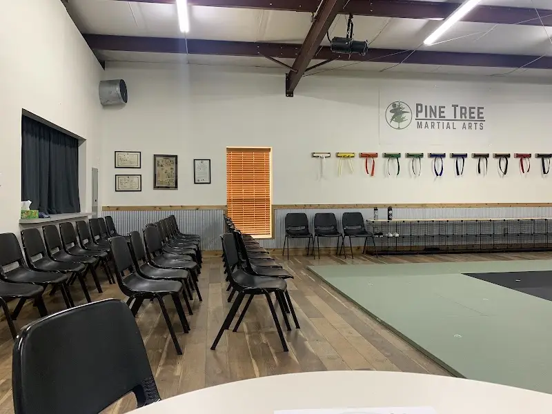 Pine Tree Martial Arts BJJ Academy - photo 2