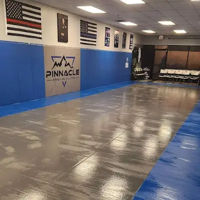 Pinnacle Brazilian Jiu Jitsu BJJ Academy - photo 1