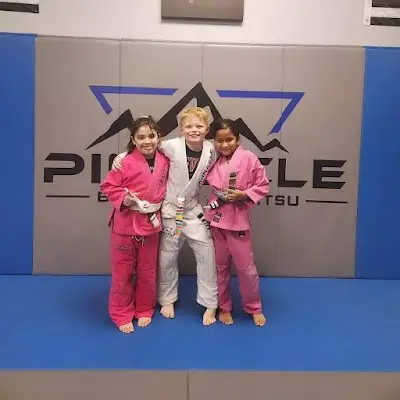Pinnacle Brazilian Jiu Jitsu BJJ Academy - photo 2