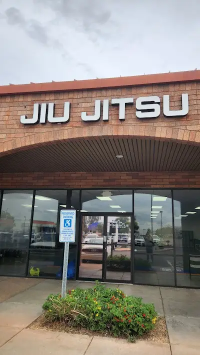 Pinnacle Brazilian Jiu Jitsu BJJ Academy - photo 3