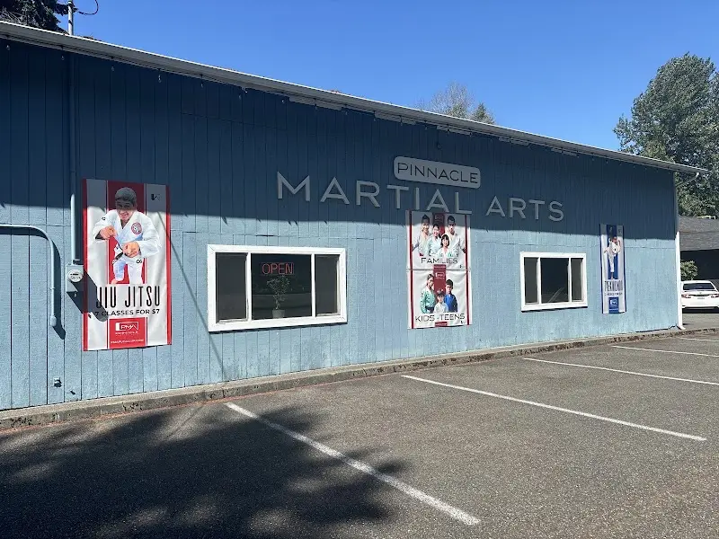 Pinnacle Martial Arts BJJ Academy - photo 1