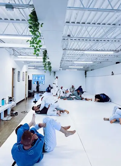 Playground Jiu Jitsu BJJ Academy - photo 1