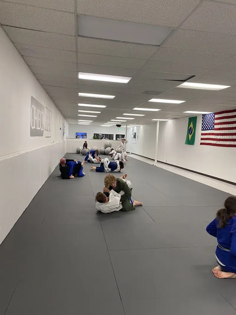 Pocatello Jiu Jitsu BJJ Academy - photo 2