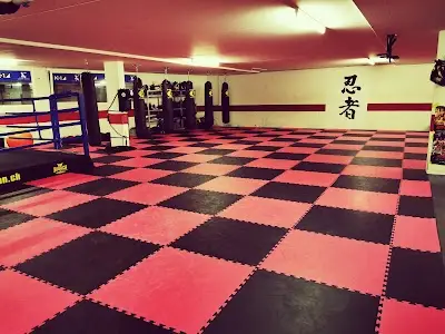 Ponsagon Gym Baden BJJ Academy - photo 1