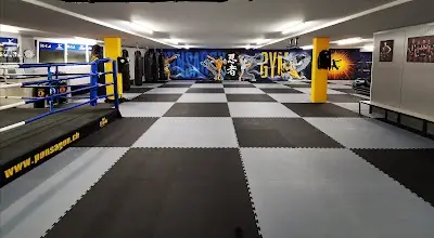 Ponsagon Gym Baden BJJ Academy - photo 2