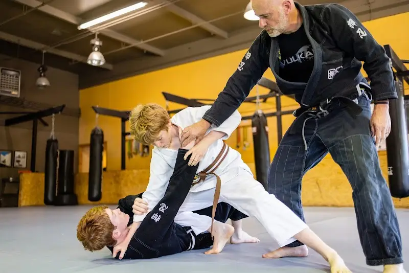Practical Martial Arts BJJ Academy - photo 2
