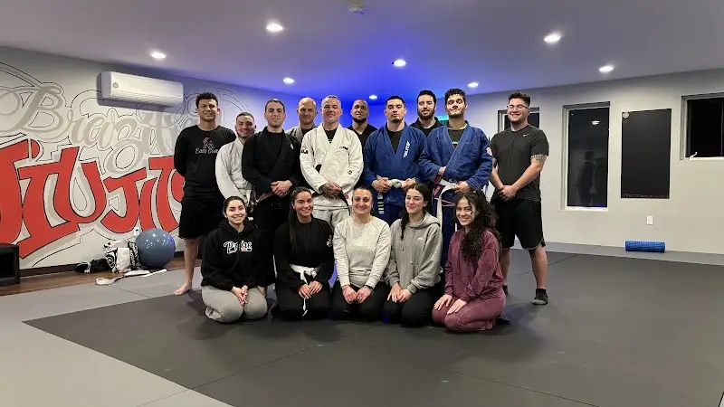 Precise Brazilian Jiu Jitsu BJJ Academy - photo 1