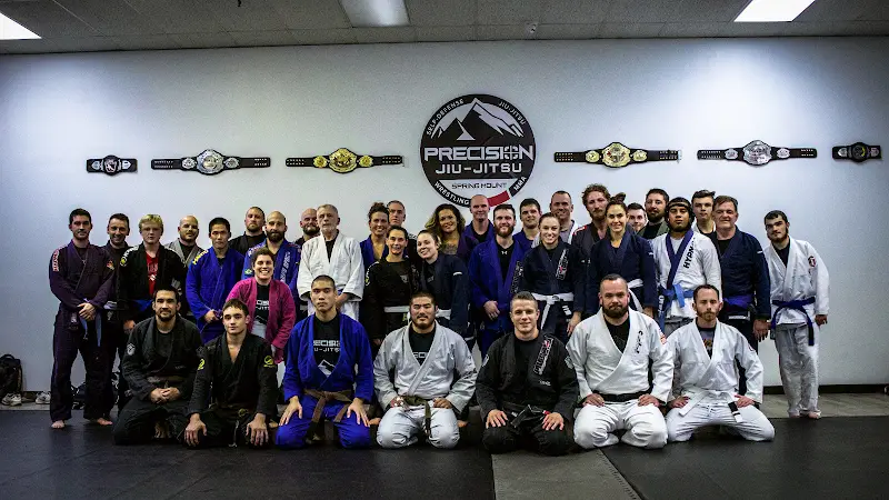 Precision Jiu-Jitsu Spring Mount