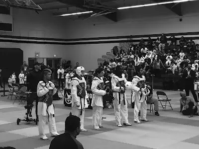 Precision Martial Arts and Fitness BJJ Academy - photo 1