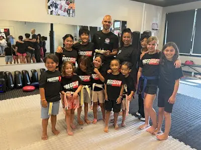 Precision Martial Arts and Fitness BJJ Academy - photo 3