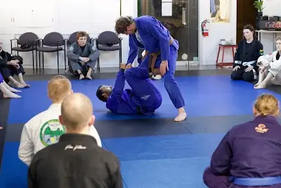 Precision Martial Arts